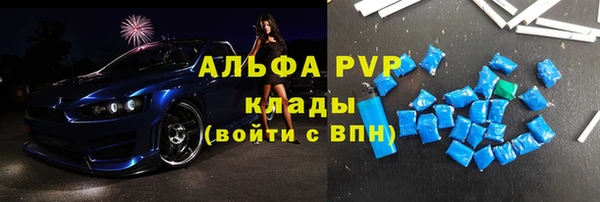 хмурый Аркадак