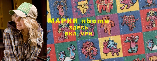 хмурый Аркадак