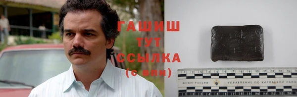 хмурый Аркадак