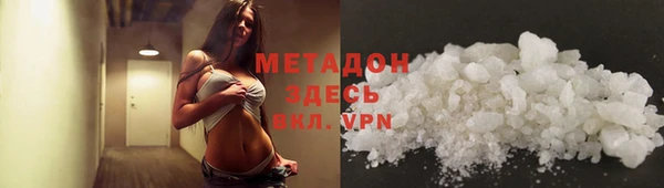 хмурый Аркадак