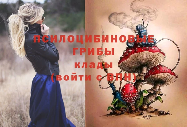 хмурый Аркадак