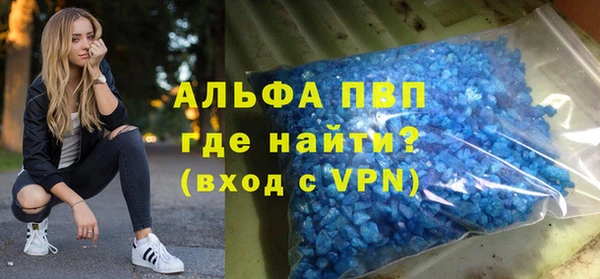 хмурый Аркадак