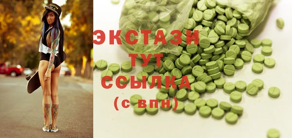 хмурый Аркадак