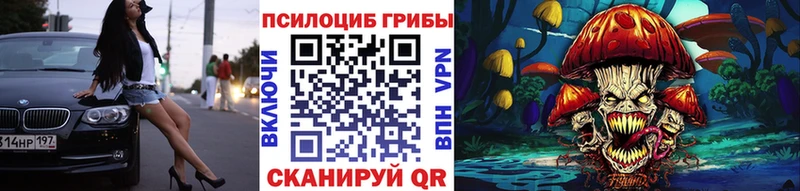 ссылка на мегу рабочий сайт  где можно купить наркотик  Оха  Псилоцибиновые грибы Psilocybine cubensis 