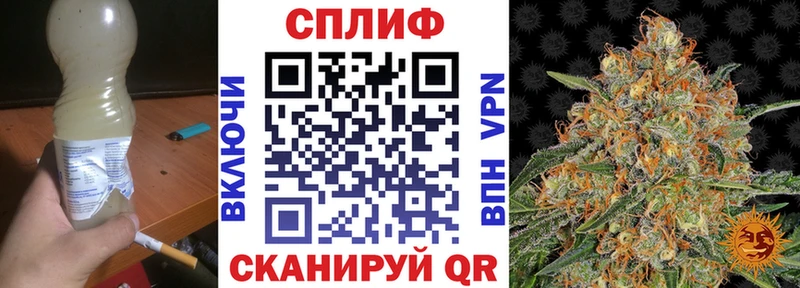 Канабис планчик  Оха 